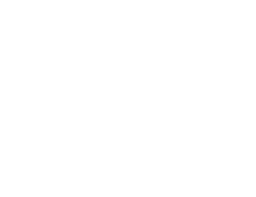 Logo-Trusted-Choice-Independent-White